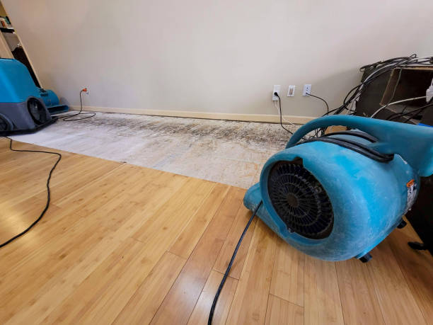 Professional Ceiling Water Damage Repair technician working in Morrisville, NY